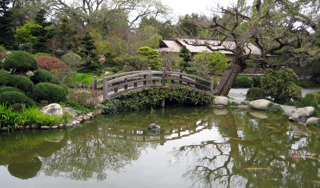 Wooden arched bridge and its reflection in the koi pond at Hakone Gardens in Saratoga, California. Not the club or its route.